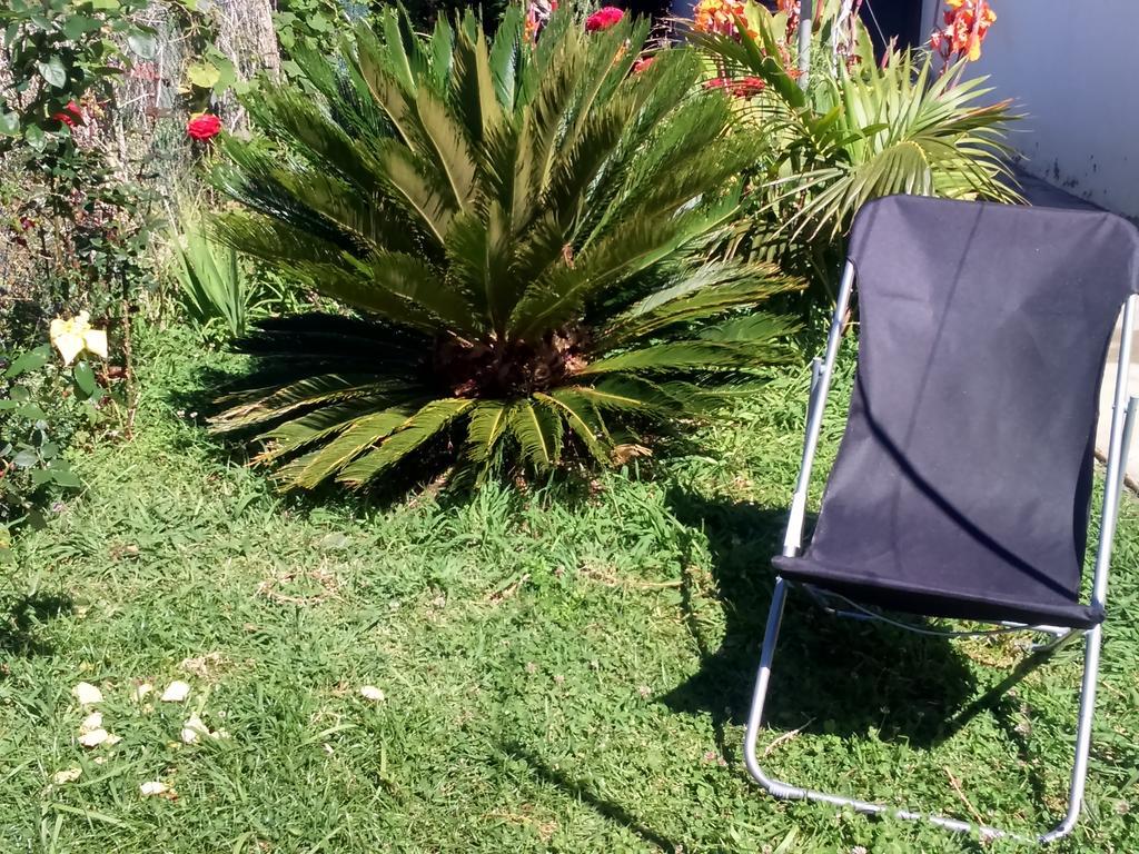 Canto Da Manu Estreito Da Calheta Kültér fotó